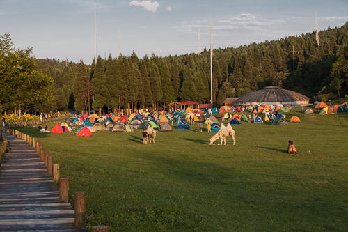 暑假旅行高峰期来了！文明旅游需要你！