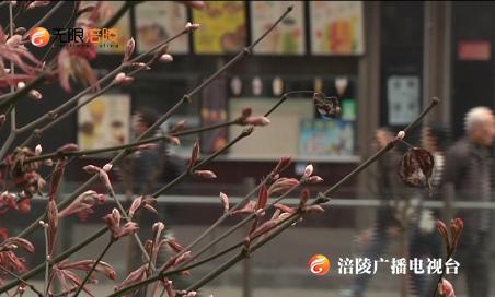 周末天气依旧“调皮捣蛋”，冻手冻脚将持续……