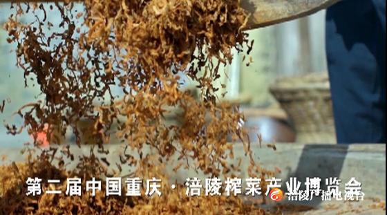 为期三天，第二届中国重庆•涪陵榨菜产业博览会来了！