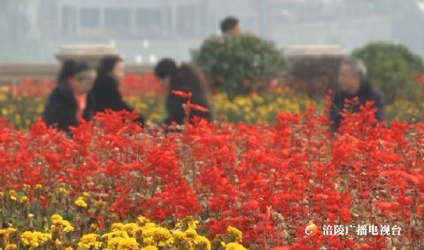 冬日暖阳惊喜现身 晒日光浴咯~