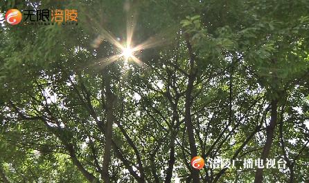 明日“大雪”到    暖阳仍是“冬天里的一把火”~