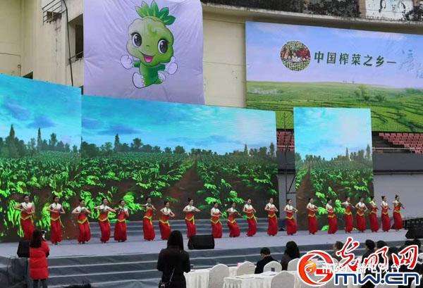 重庆涪陵：全力做好榨菜产业大文章