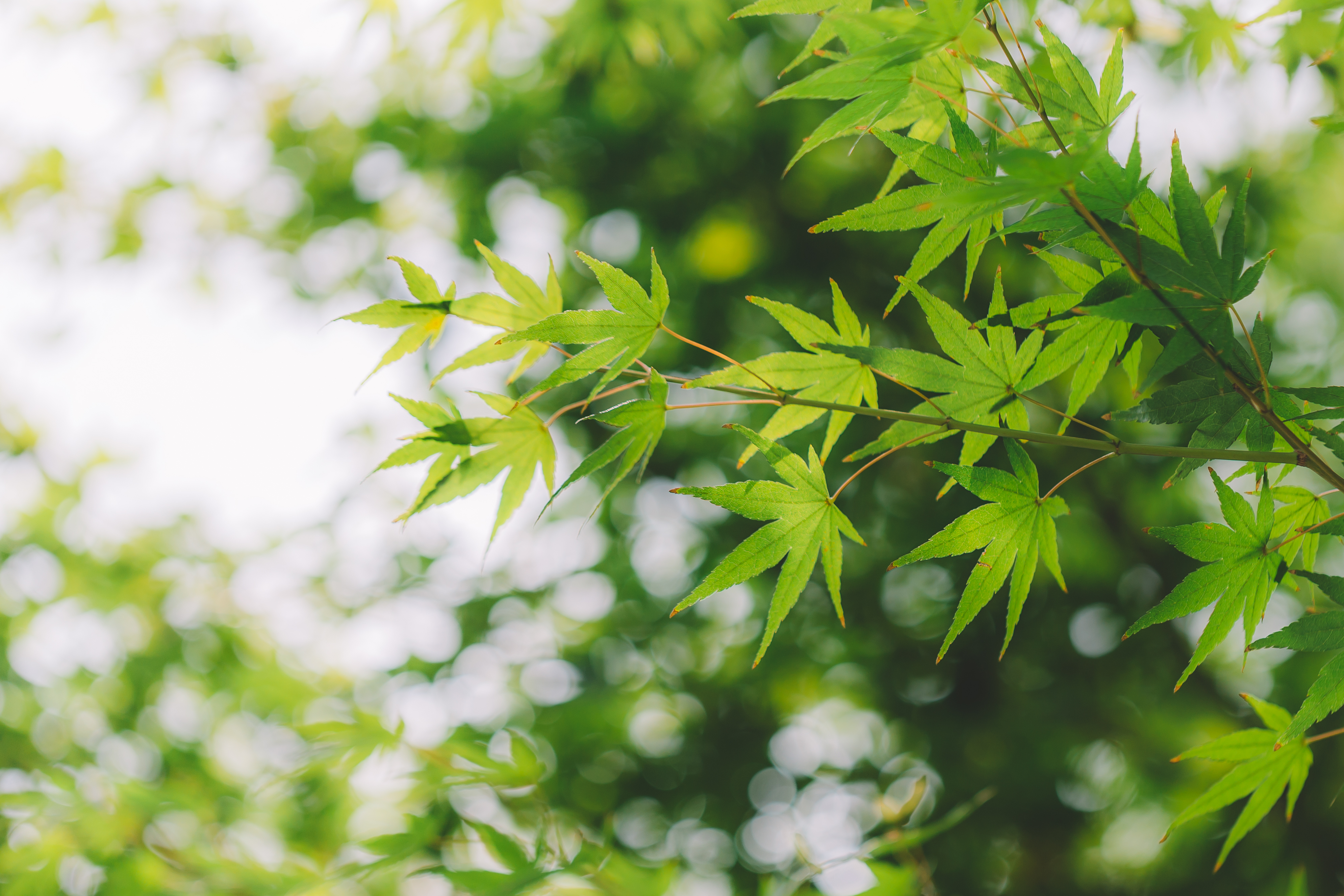 《江城悦读会》| 幸福就是此刻