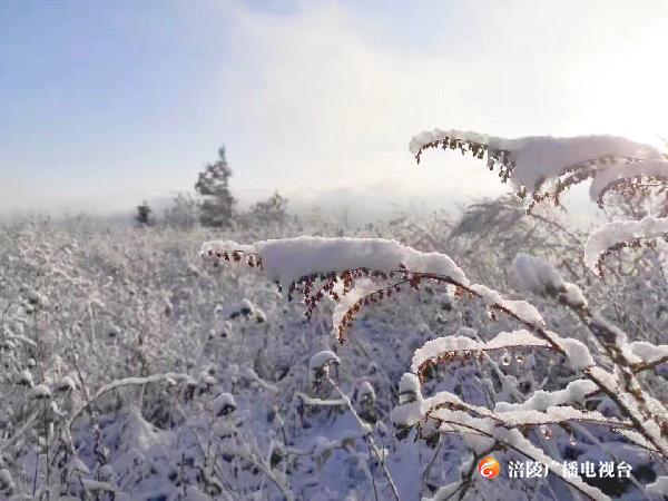 周末赏雪   武陵山走起！