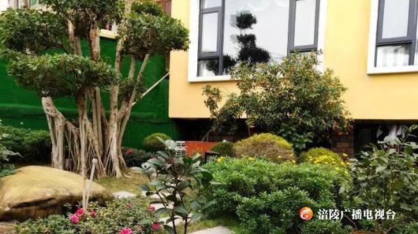 涪陵5户家庭上榜全市“最美阳台”“最美庭院”，看看有多美......