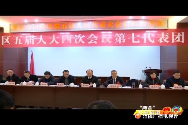 【“两会”特别报道】种及灵参加区五届人大四次会议代表团审议