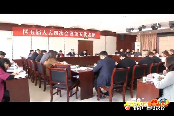 【“两会”特别报道】区人大代表分团审议区人大常委会工作报告和 “一府两院”报告