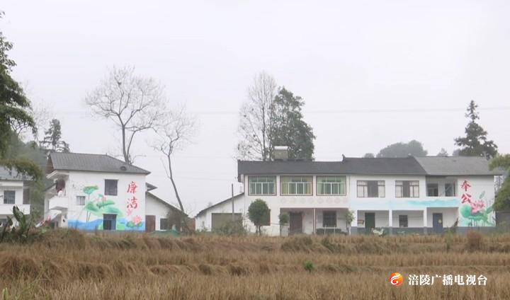 镜头下的新农村：家是一幅画 画中有人家