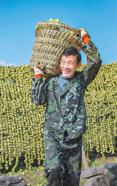 涪陵榨菜 协作生产惠三方（经济发展亮点多韧性足）