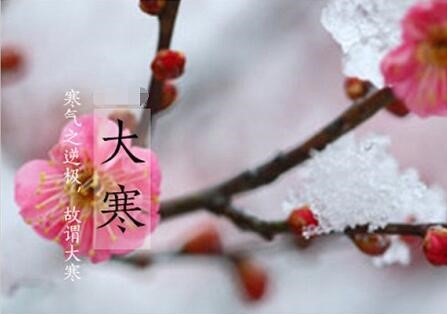 ​今日“大寒”， 最低气温7℃