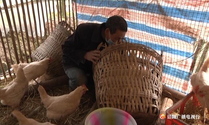 心怀感恩  脱贫户捐鸡蛋助力抗疫