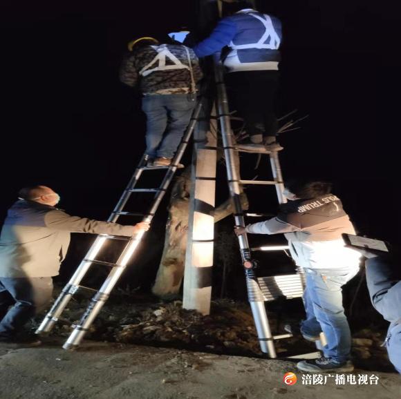 共同抗疫，涪陵电信在行动