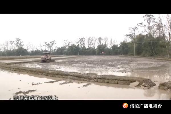 【众志成城 防控疫情】龙潭镇：抓紧春耕备耕 防疫不误农时