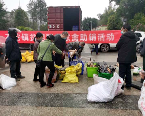 石沱镇：“三大行动”助力脱贫攻坚！