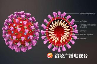 天气转暖会阻止新冠病毒传播扩散吗？