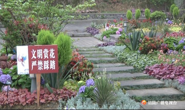 涪陵：让文明出游成为最美的风景