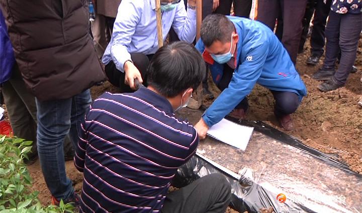 龙潭镇：​“田间课堂”为辣椒产业保驾护航