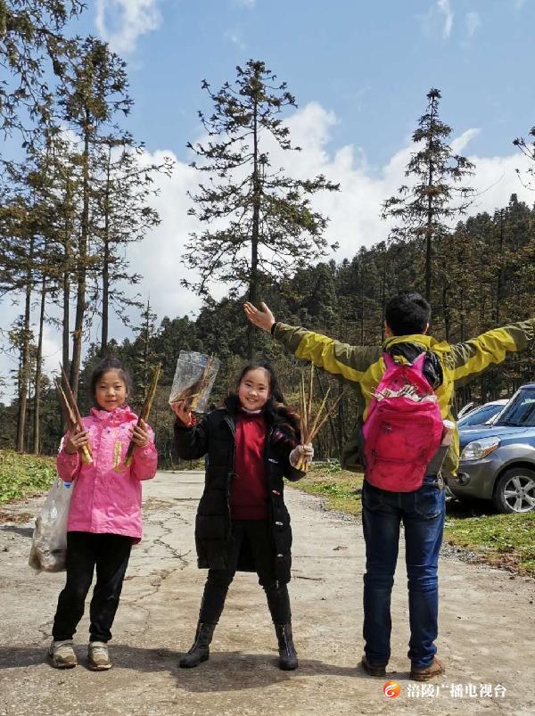 武陵山国家森林公园“首届采笋季”开启！