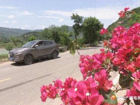 白涛街道：整治人居环境  提升乡村颜值