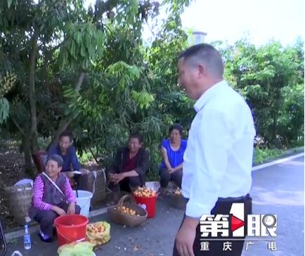 全国人大代表刘家奇：持续改善农村供电供水等基础设施 提升农民生活质量