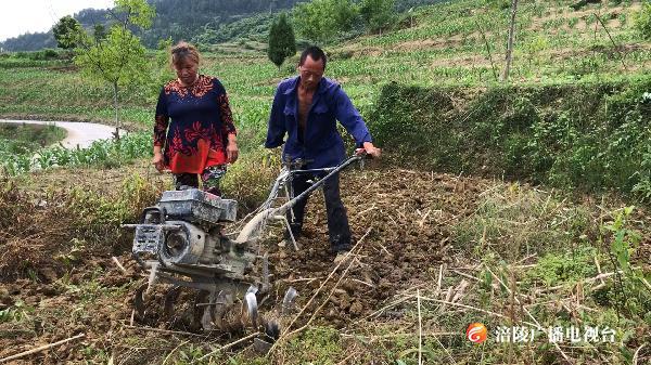 罗云乡：勤劳夫妻闯出脱贫致富路