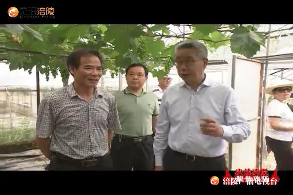 【决战决胜脱贫攻坚】种及灵到同乐 青羊督战脱贫攻坚工作