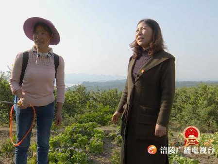 ​【节目预告】李加梅：务实为民 尽责履职