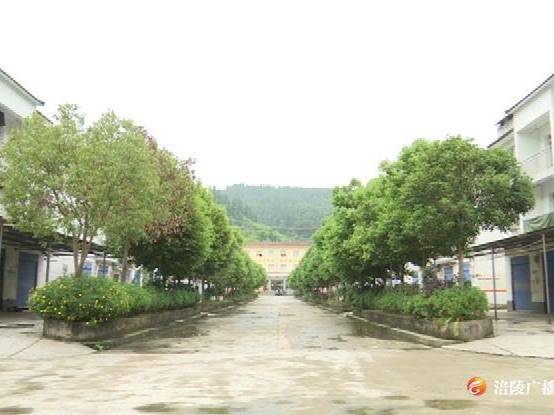 焦石镇：积极推进“文明生活进农村”活动