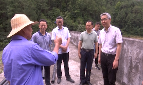 种及灵检查防汛抗旱及重点项目推进情况