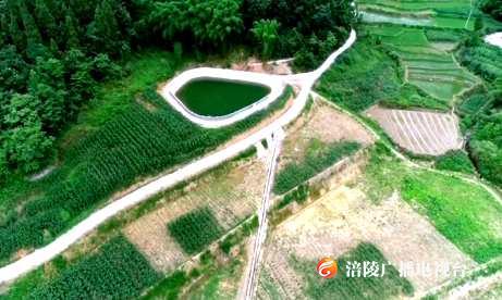 涪陵今年预计新增耕地近400公顷