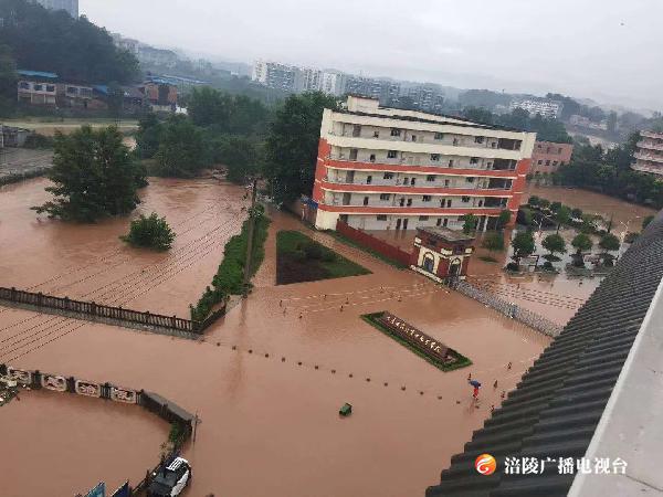 【直击现场】强降雨致涪陵多个乡镇街道出现灾情！