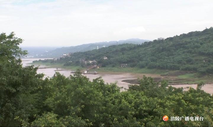 区林业局开展“守护青山 从我做起”公益活动 绿化长江库岸  共建美丽家园