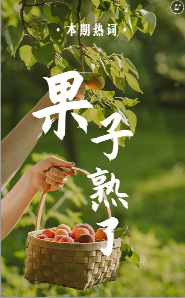《看重庆》第10期：果子熟了！