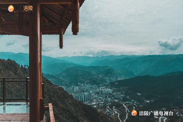 人人参与乡村振兴，携手共建幸福家园