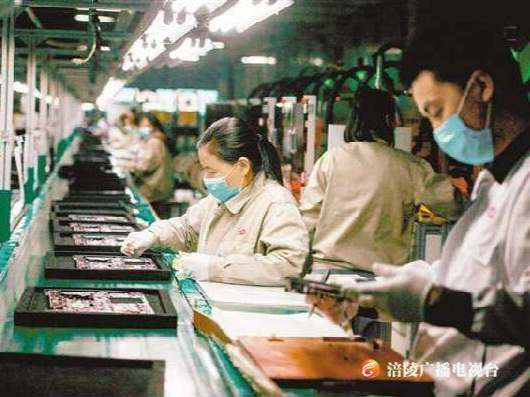培育新的增长点 高质量发展迈大步