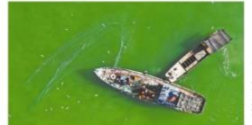 经济日报头版头条点赞重庆：数字经济撑起智慧名城