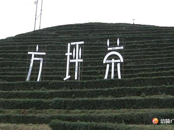 方坪村：产业发展多点开花 助力贫困群众增收