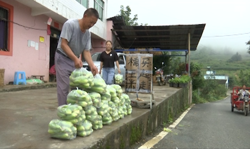 搭乘乡村旅游快车   “大木山货”下山啦