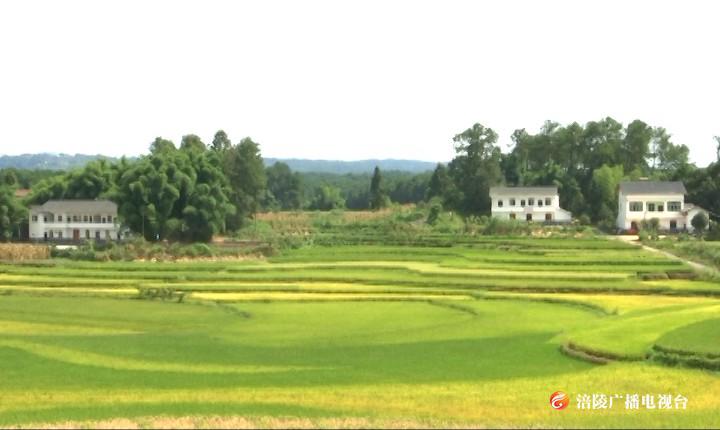 蔺市镇连二村：山水庭院 风光旖旎 这就是小康的样子