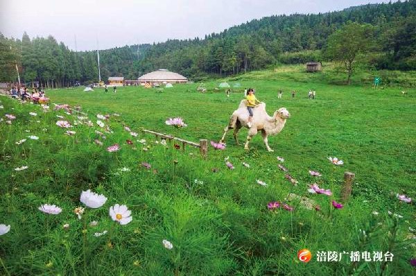 【最新消息】武陵山国家森林公园临时封园