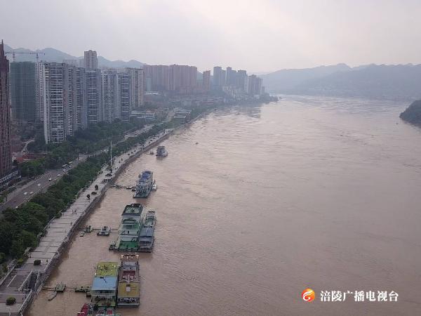 【直击】2020年长江第5号洪水过境涪陵