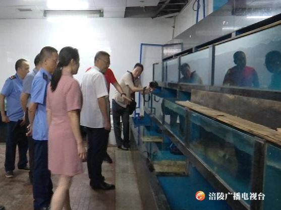 涪陵区启动长江禁捕打非断链专项行动