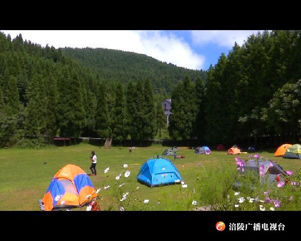 高山避暑：“森林氧吧”畅享清凉