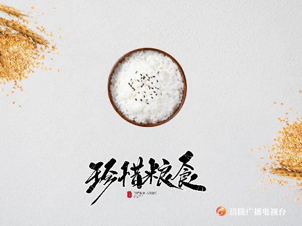 半份菜小份菜 吃多少点多少（爱粮节粮 从我做起②）