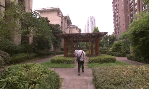 “增绿添园”扮靓城市“颜值”       百姓畅享绿色生活