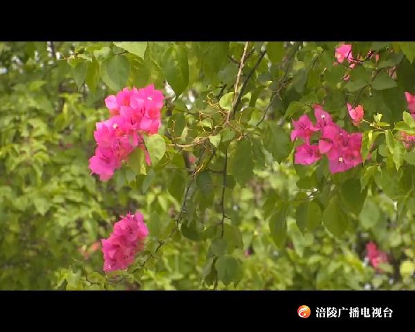 【白露】养生正当时    “秋冻” 有讲究
