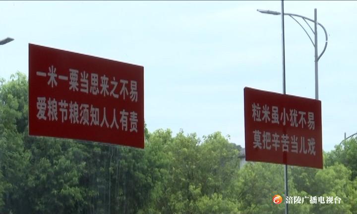 餐饮企业推行“小份菜” 杜绝浪费蔚然成风