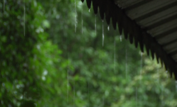 未来三天我区最低温度降至18℃