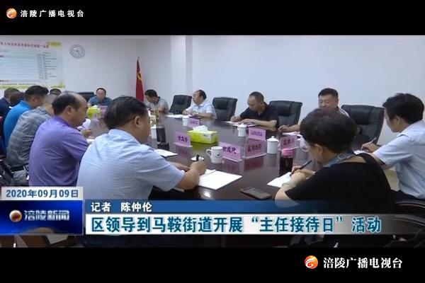 区领导到马鞍街道开展“主任接待日”活动