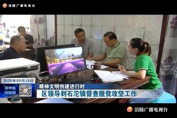 【精准脱贫进行时】区领导到石沱镇督查脱贫攻坚工作